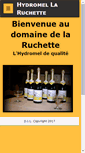 Mobile Screenshot of laruchette.be